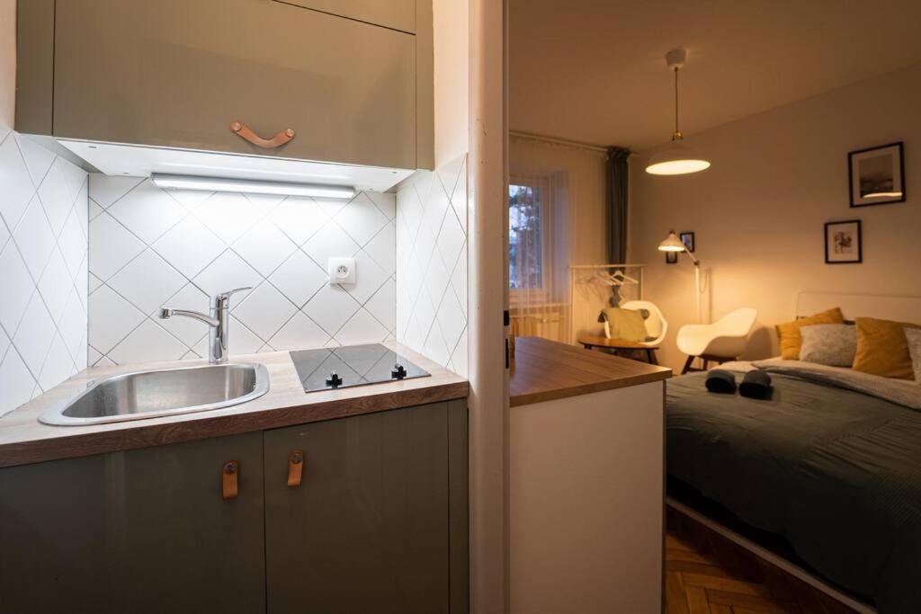 Mini Studio In Masaryk Quarter - Brno Lägenhet Exteriör bild